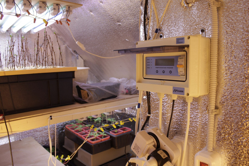 автоматика для оранжереи