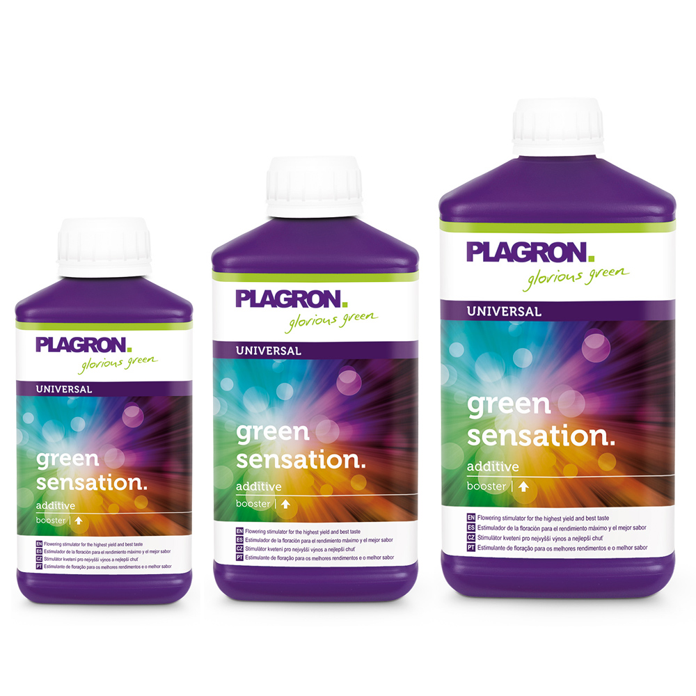 PLAGRON Green Sensation
